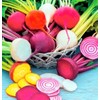 SEEDS Rainbow Blend Beet Seeds NON-GMO 100+ SEEDS  --BUY 4 ITEMS FREE SHIPPING