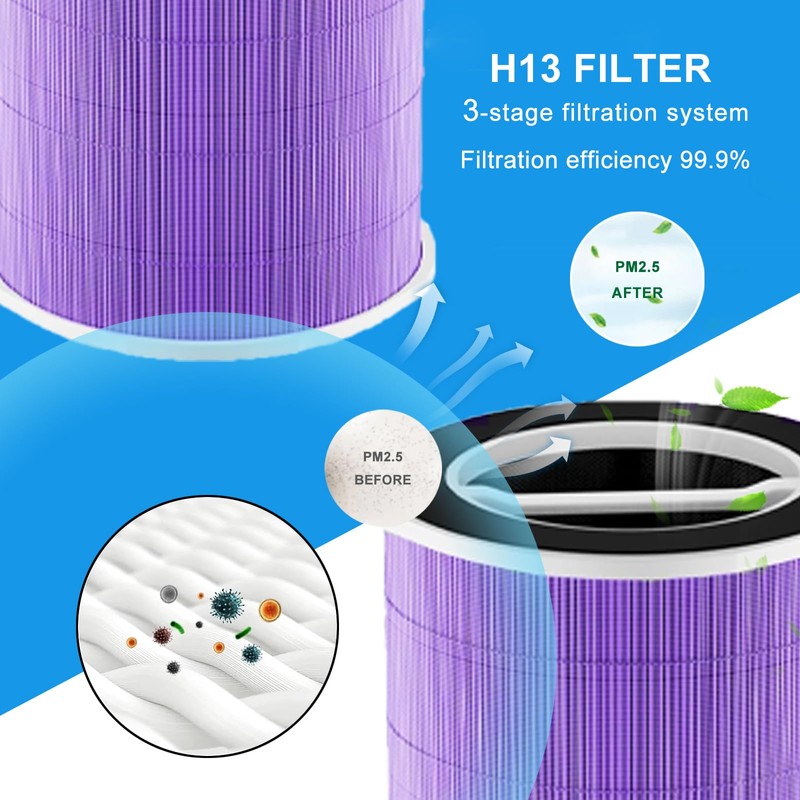 JISIZKY Replacement Air Filter P200S/G200S Compatible With Welov P200S/P200 PRO