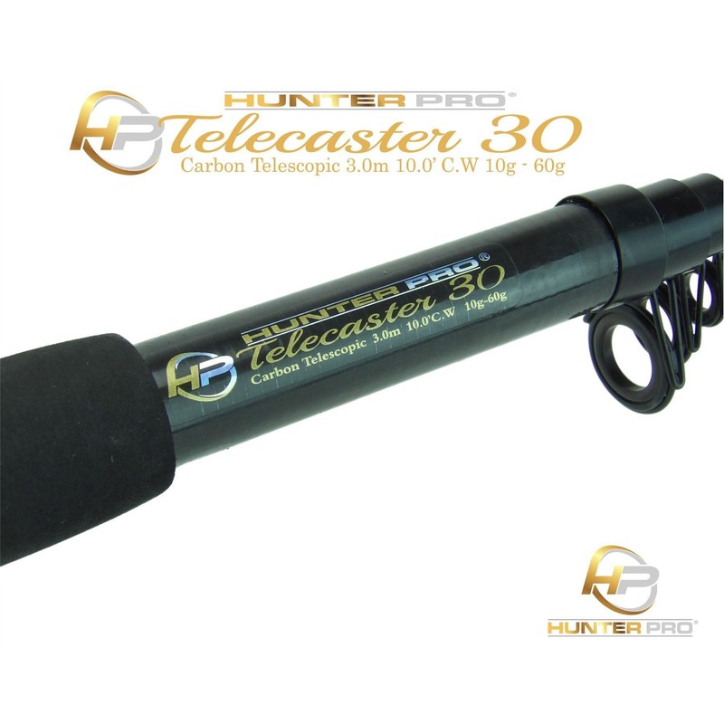 RODS 10FT Telescopic 10ft Fishing Rod Carbon Travel Stalking Pike