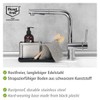 Wenko Organiser Stainless Steel Orio Drainer Sink Caddy, Silver matt,