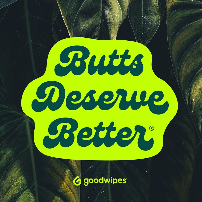 Goodwipes Flushable Butt Wipes Made with Vitamin E & Aloe