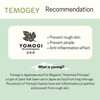 TEMOGEY Daily Moisture Sheet Mask Yomogi - 7 Sheets