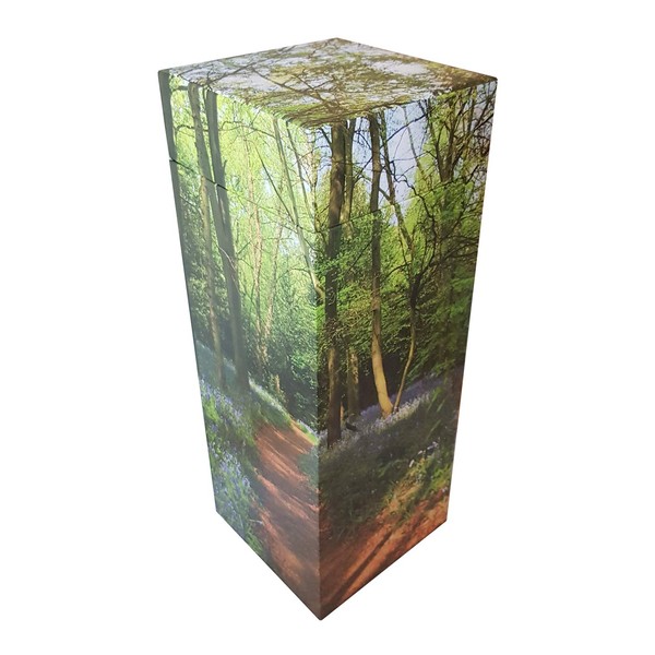 Bluebell Woodland ScatterPod Scattering Adult Cremation Urn