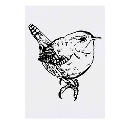 'Wren Bird' Temporary Tattoo - Water Resistant, Skin-Safe, Non-Toxic Transfer (TO00027023)