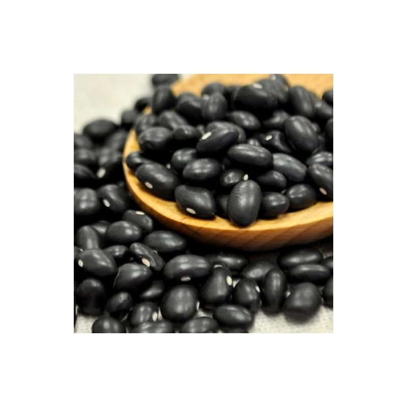 Black Turtle Beans | Triple Cleaned | Grown in the