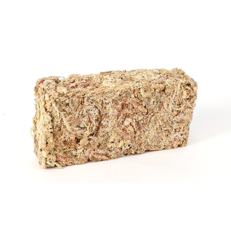 Sphagnum Moss for Terrarium and Orchids from Chile 150 g