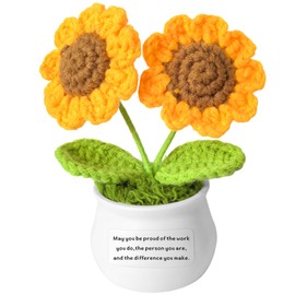 AMZQ Thank You Gifts for Women Appreciation Gifts for Coworker Employee Teacher Leaving Gifts for Colleagues