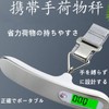 Luggage, Travel Scale, Digital Scale, Portable, Weighing up to 0.3