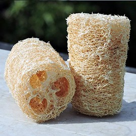 HealthGoodsIn - Esponja de baño natural de lufa orgánica, juego de 2 esponjas exfoliantes para baño, esponja de lufa cultivada naturalmente (juego de 