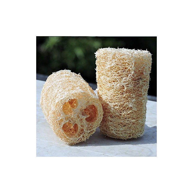 HealthGoodsIn - Esponja de baño natural de lufa orgánica, juego