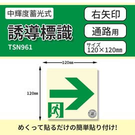 ELTI TSN 961 Emergency Prevention Countermeasure Fire Certified Medium Brightness Luminous Induction Sign 4.7 in (120 mm) Square Arrow