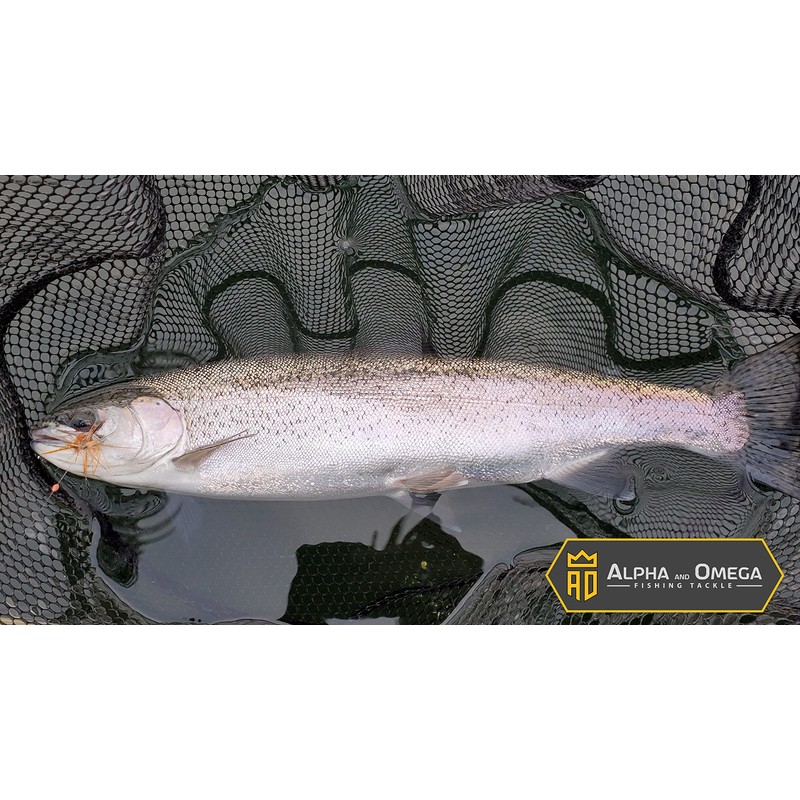 ALPHA and OMEGA - Woolly Bugger Fly KIT (20 Flies)