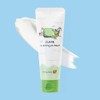 Dancing Whale - Clear Cleansing Foam 4.05 FL/OZ, 120ml