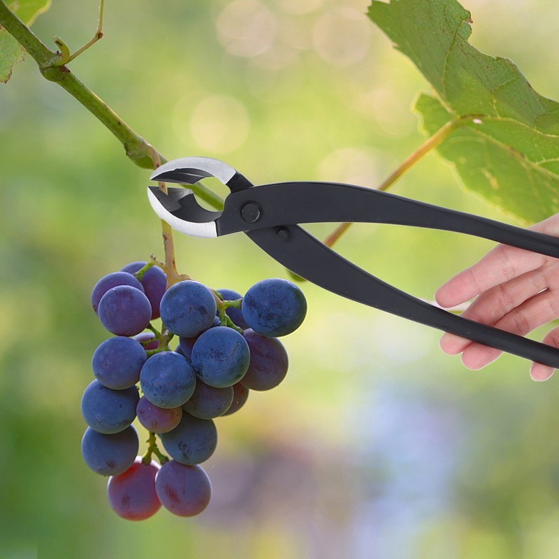 Garden Tree Branch Potted Cutter Pruning Shears Bonsai Trimming Modeling