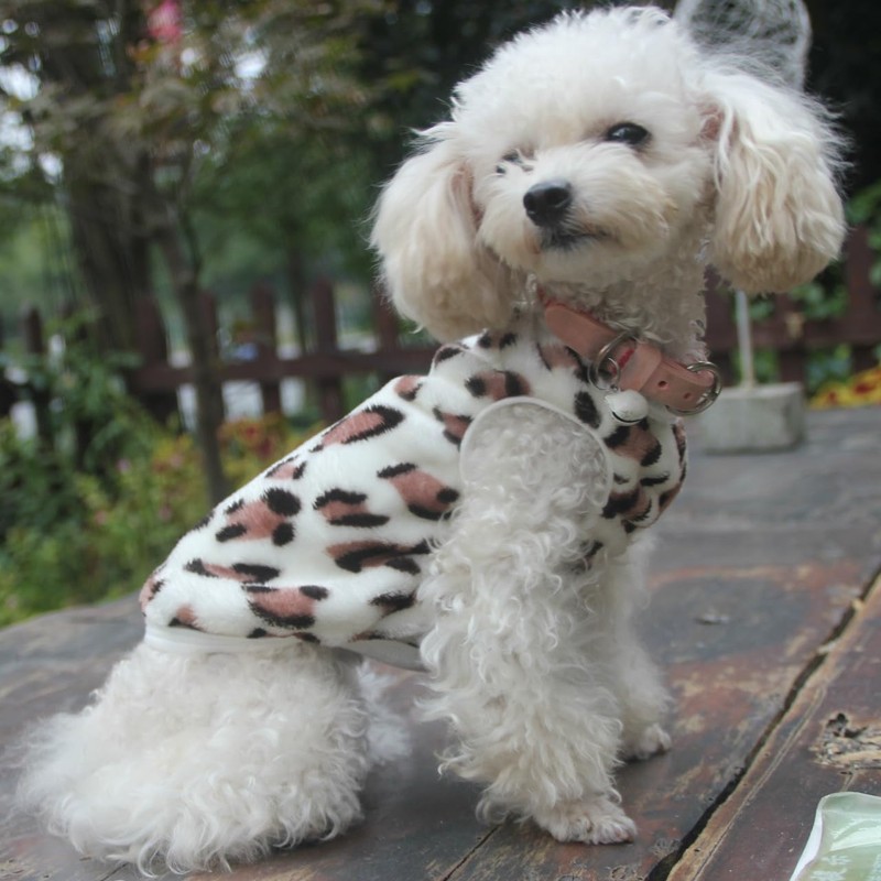 RIOSTUDIO Dog Vest, Puppy Sizes Available, Dog Clothes, Fall, Winter,