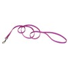 Coastal - Single-Ply Dog Leash, Orchid, 3/8" x 6'