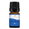 Plant Therapy Organic Blue Yarrow Essential Oil / Plant Therapy