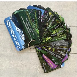 Plant Teachings for Growing Social-Emotional Skills, Alaska Edition [Book and Card Set]