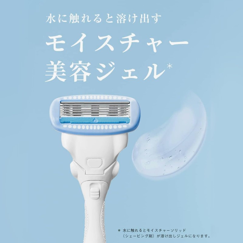 Schick (シック) Schick Hydro Silk Salon Plus Holder (with blade)