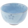 Mino Ware Sencha Set of 5 Hanashizuku 569-31-32E(5)