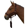 Gallop Basic Nylon Headcollar and Lead Rope Set, Full Size,