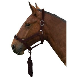 Gallop Basic Nylon Headcollar and Lead Rope Set, Full Size, Purple