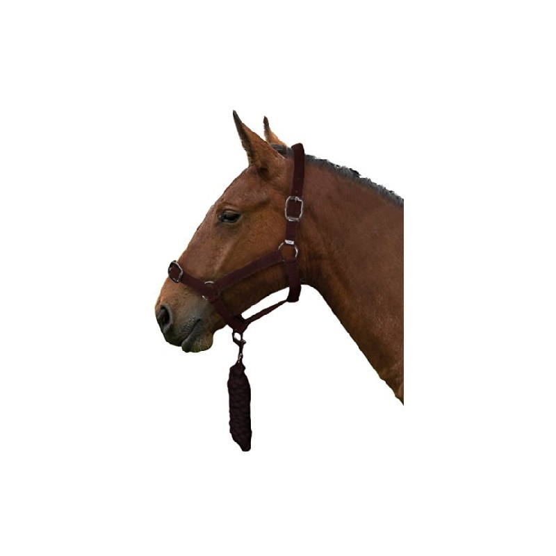 Gallop Basic Nylon Headcollar and Lead Rope Set, Full Size,