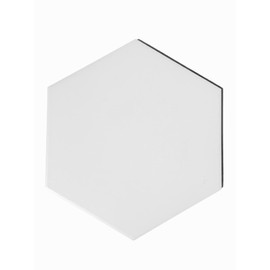 8.75x10 Solid Color Hexagon Collection White Porcelain Wall Floor Tile (1)