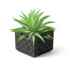Genuine Fred Fancy Plants Milk Crate, Planter
