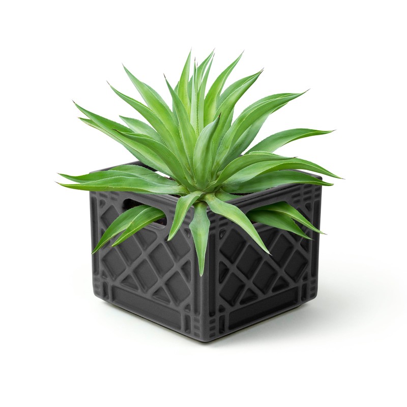 Genuine Fred Fancy Plants Milk Crate, Planter