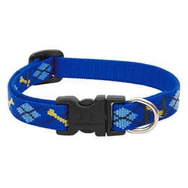LupinePet Originals 1/2" Dapper Dog 6-9" Adjustable Collar for Extra Small Dogs