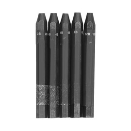 HEEPDD 5Pcs Graphite Sticks, 2B 4B 6B 8B 12B Water Soluble Compressed Charcoal Sticks Charcoal Drawing Set for Sketching Shading Beginners Artists