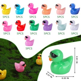 HOTTuoHong Mini Ducks Bulk,Tiny Ducks,Mini Resin Ducks Miniature Duck Figures Ornament Little Ducks for Craft,Dollhouse,Home Decorations Birthday Party Gift (1, 65,Multicolor,Sunglasses)