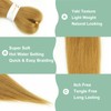27 Honey Blonde Braiding Hair Pre stretched 12 Inch 3
