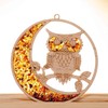 Raduly Suncatcher Amber in Birch Wood Owl and Moon Window