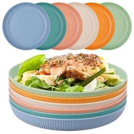 Worephu Unbreakable Dinner Plates, 6 Colors Reusable Lightweight Plates, Pizza/Pasta/Snack/Salad Plastic Dinner Sets for Home, Office, Picnic, Park