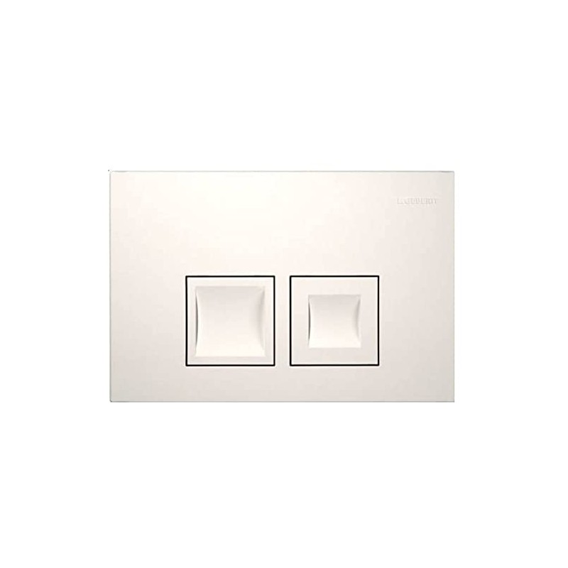 Geberit Delta50 115135111 Actuator Plate for 2 Flushes of Different