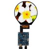 VSDISPLAY 3.4 inch 800x800 IPS 330nit Round LCD Screen and