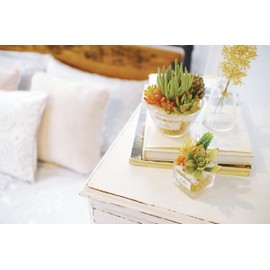 Kishima Eklia Deodorizing Artificial Green 6 L Size KH-61185 Size: Approx. W55.1 x D49.2 x H6.1 inches (140 x 125 x 155 mm)