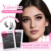 Yaiseiko Lash Clusters 60D Wispy 10-20mm Essential Volume Cluster Eyelash