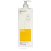 Framesi Morphosis Repair Shampoo, 33.8 Ounce