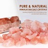 SALKING 2-in-1 Himalayan Salt Lamp & Ultrasonic Essential Oil Diffuser,