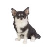 Uvia H24014 Left-facing Chihuahua, Black (Mini), 1.0 x 1.0 x