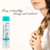 Mirta de Perales Argan, Coconut & Moringa Oils Shampoo +