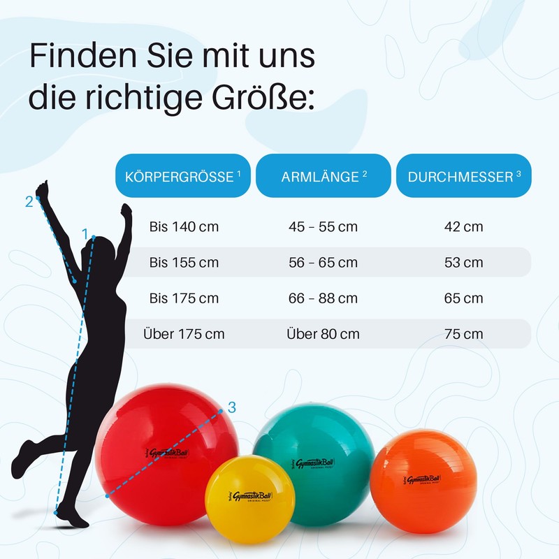Pezziball Standard Exercise Ball