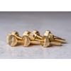 10 Pack of 1/4-20 Brass Knurled Thumb Screws 3/4" Thread