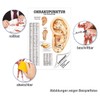 Ear Acupuncture Mini poster Anatomy 34x24 cm Medical Teaching Medium
