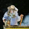 Blisstime Bee Hive Bee Smoker Stainless Steel with Heat Shield