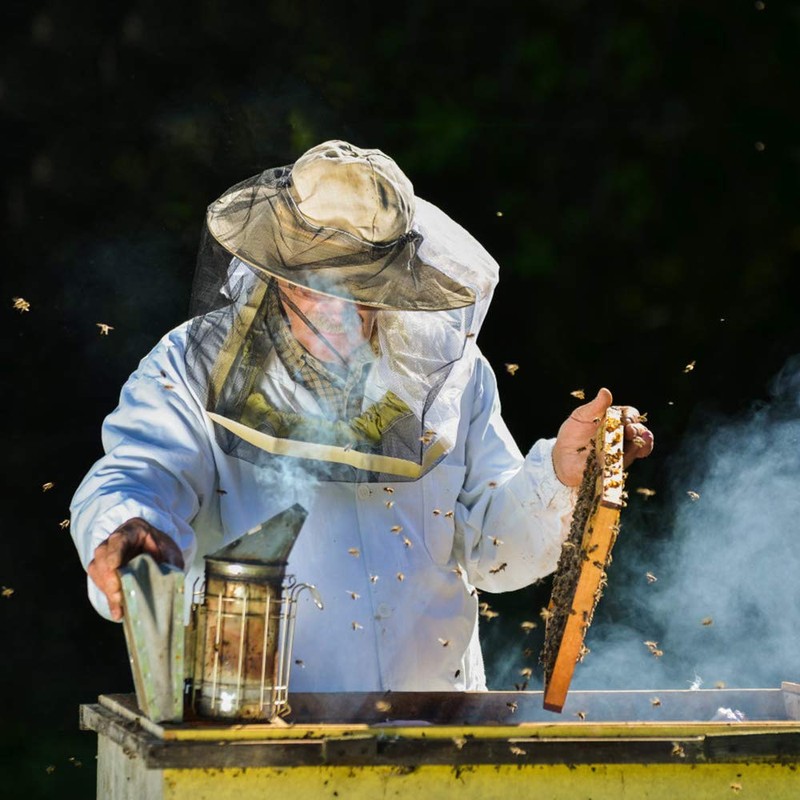 Blisstime Bee Hive Bee Smoker Stainless Steel with Heat Shield