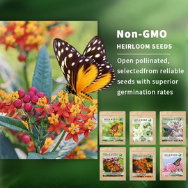 Milkweed Seeds for Monarch 6 Pack of 200 Seeds Heirloom Untreated Wildflower Seed Pink Swamp Showy Butterfly Common Swamp Blood Milkweed